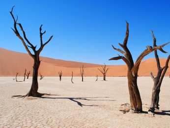 deadvlei-2011373_2.jpg