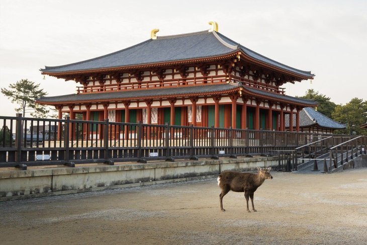 kohfukuji-temple-7842117_1280.jpg